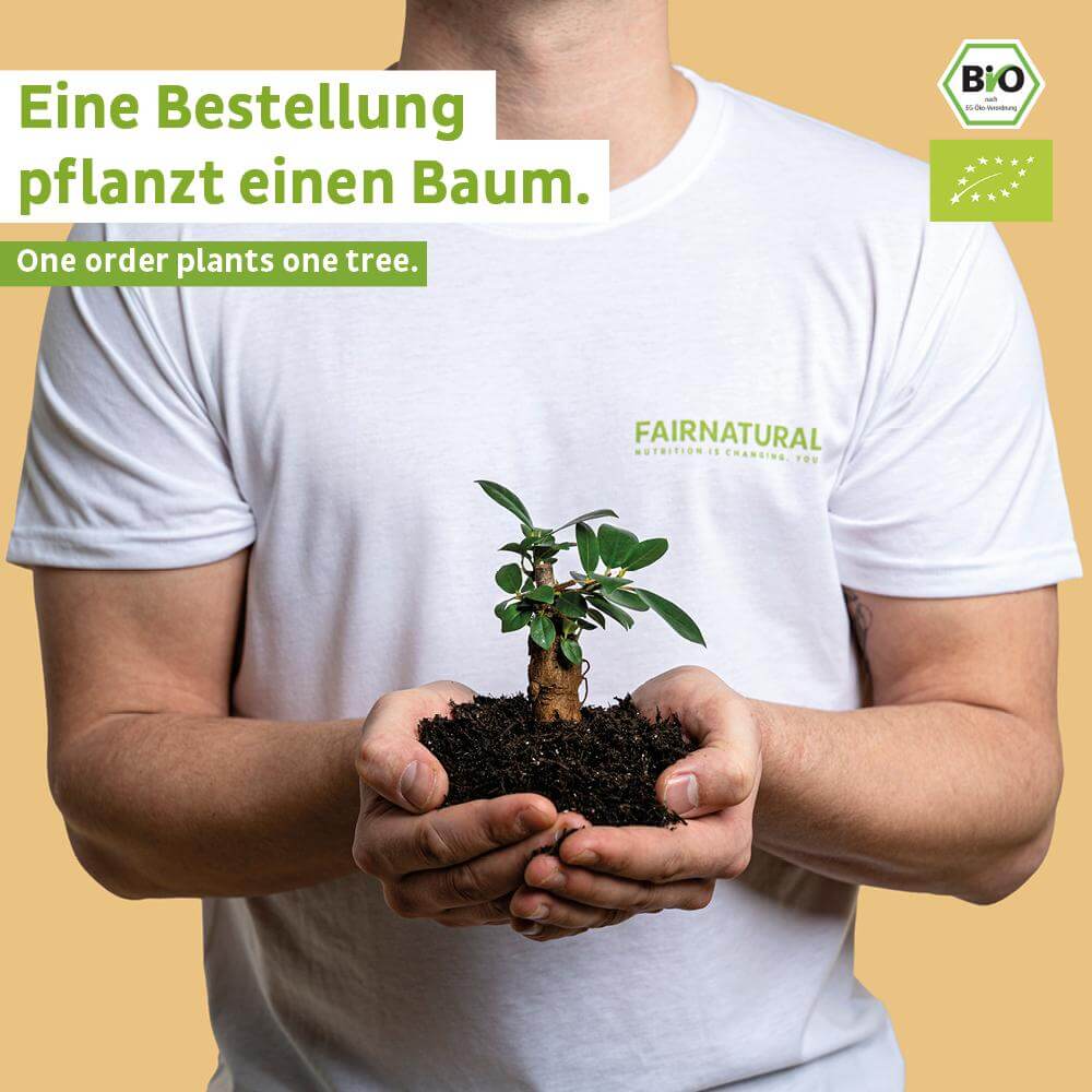 Bio Proteinriegel Vegan (o. Soja)