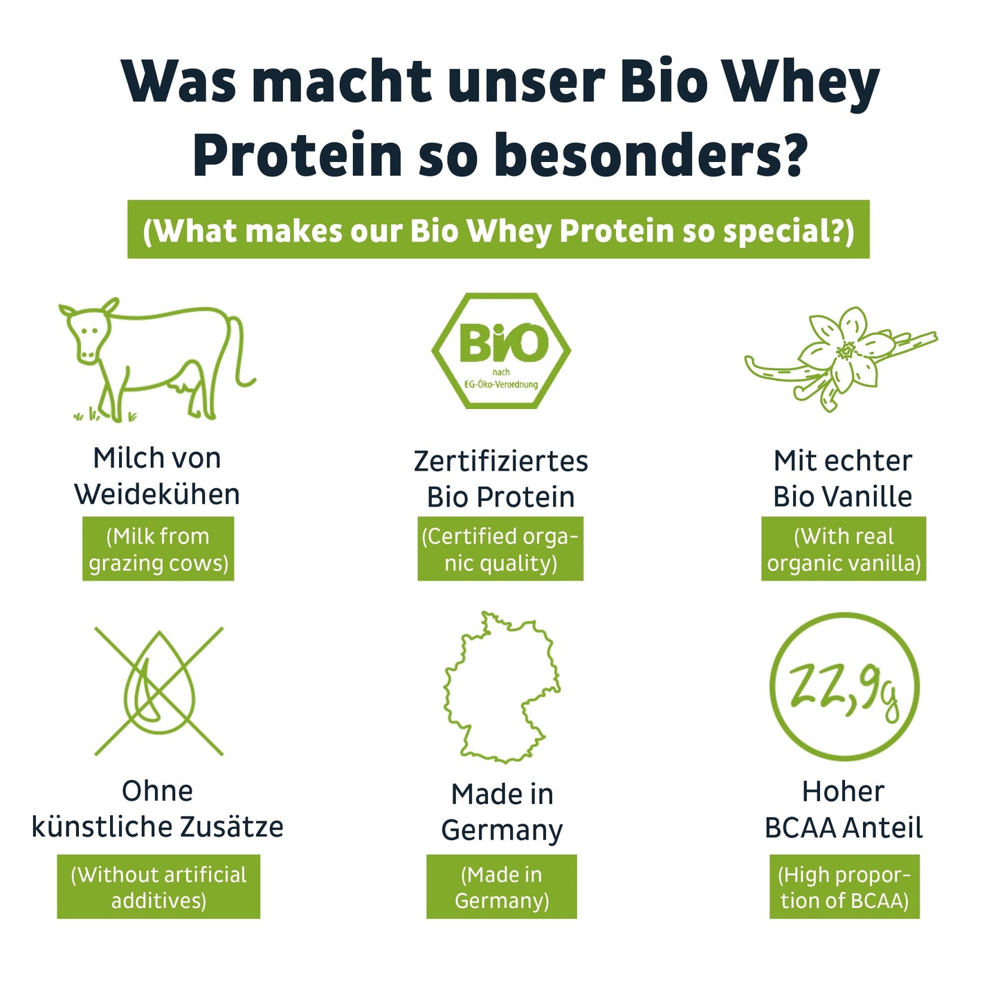 Bio Whey Protein Pulver